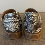 Catherine Malandrino  “Alaney” Snakeskin D’Orsay Shoes Women's 9 Leather Flats Photo 4