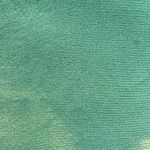 Carolyn Taylor Oversized Green Top 2X Photo 3