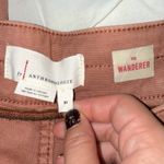 Anthropologie  “The Wanderer” Straight Leg Cargo Style Pants Dusty Pink SIZE 31 Photo 9