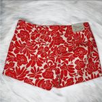 J.Crew NWT  Chino City Fit Shorts Photo 1