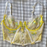 For Love & Lemons  Top Bustier Photo 1