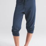 SKIMS  Lightweight Fleece Shrunken Jogger in Washed Navy, Size Medium Photo 1