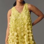 Anthropologie  Maeve Sleeveless Floral Appliqué Mini Dress Photo 6