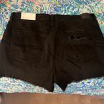 American Eagle  Shorts size 16 Photo 3