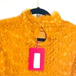 Boohoo  Lace Crop Top Photo 3