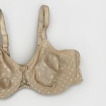 Wacoal  Spot On Polka Dot Seamless Underwire‎ Bra Support 855285 Nude 40D 40 D Photo 2