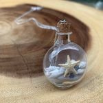 Sweet Lemons Real Miniature Seashells In Glass Bottle Necklace Photo 2