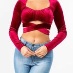 Bear Dance Crop Top Photo 0