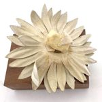 Vintage Shoe Clips Buckles Pastel Faux Pearl Frosted Floral Daisy 1940s 1950s Pink Photo 7