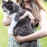 Abercrombie & Fitch  dress  Photo 4