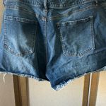 Sofia Women's Blue Jean shorts 22w Photo 7