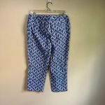 Talbots  8P butterfly pants Photo 1