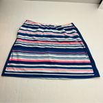 Tail Blue White Pink Stripe Tennis Golf Athletic Skort Womens Size Large Pockets Photo 0