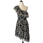 Love Shack Fancy  Black And Cream Pamela Asymmetric One Shoulder Flounce‎ Dress S Photo 2
