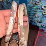 Coach  Tan and Snakeskin Structured Leather Satchel/Crossbody and Dustbag Photo 7