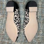 Walking Cradles Rory Padded Flats in Leopard/Black (Wide) Size undefined Photo 7