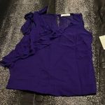 Robert Rodriguez Womens NWT sz0  100% silk blouse Photo 0