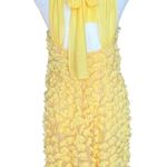 Jill Stuart  Flower Appliqué Chiffon Dress Photo 6