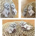 Bichon Frise Earrings New Dangle Hooks Double Sided Fluffy White Teddy B… Photo 8