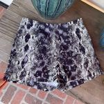 Cache  snake print shorts Photo 0