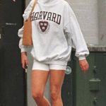 Polo by Ralph Lauren Gray Sweatshirt Photo 4