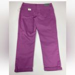 Buffalo David Bitton  Gibson Mulberry Pants NWT Size 32/14 MSRP $119 Photo 6