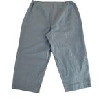 Talbots Woman Stretch Light Denim Color Cropped Pants Size 16W Photo 2
