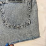 AGOLDE Parker Jean Shorts Photo 3