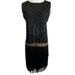 BABEYOND Flapper Dress XL Long Fringe Showgirl Dress Roaring 20s Sequins Beaded Black Photo 1