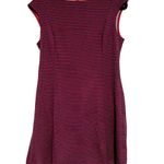 Gap Navy Blue Maroon Red Striped Stretchy Dress Photo 1