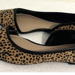 BCBGeneration  Emmani Leopard Print Pointed Toe Flats 8M Animal Print Casual Chic Photo 1