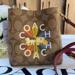  Mini Town Bucket Bag In Signature Canvas With Coach Radial Rainbow c6835 Photo 0