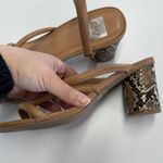 Dolce Vita Heels Womens 9.5 Brown Tan Myla Snakeskin Slip On Sandals Photo 7