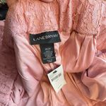 Lane Bryant Pink Lace Overlay High Waist Cropped Wide Leg Pants 26 28 New Photo 9