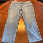 Terra & Sky 20w  Photo 0