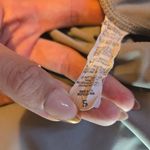 Alphalete Pulse Surge Leggings Silver Sky Size Small Activewear Gymcore Hot Girl Photo 4