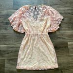 Lace Flutter Boho Sheer Dress Photo 0