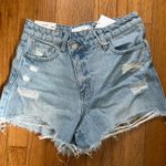 Vervet  Shorts Photo 0