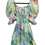 Charo Ruiz Giulia Short Dress Barbary Print Blue Multicolored Size Medium Photo 6