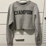 Champion Cropped Grey Crewneck Photo 1