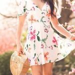 EXPRESS  00 Floral Chiffon Flutter Sleeve Fit & Flare Mini Dress - NWOT Photo 0