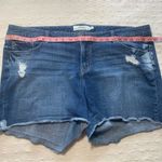 Torrid Wear what you love Jeans shirts Size 24 Photo 4