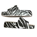 Corky s Footwear Women's  Popsicle Zebra Size 6 NWOB Photo 8