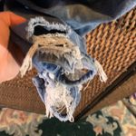 Bridge by GLY  Distressed Jeans Size 27 Photo 5