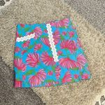 Lilly Pulitzer  originals rare lace blue pink green skirt size 2 floral kissue Photo 0