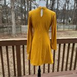 Roolee  polkodot dress small soft long sleeve Photo 1
