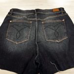 Judy Blue Women's 2XL Dark Wash Cut-Off Denim Shorts Button Fly Photo 1