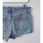 Madewell  The Perfect Jean Shorts Photo 8