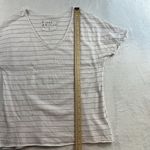 Frank & Eileen S Small Shirt Tee Lab Short Sleeve V Photo 9