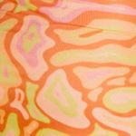 Princess Polly NWT - SIZE 2 Orange and green skirt Photo 2